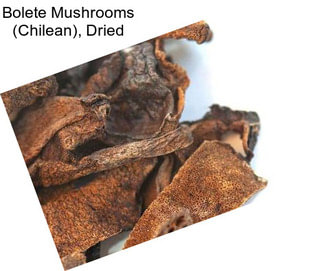 Bolete Mushrooms (Chilean), Dried