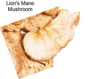 Lion\'s Mane Mushroom