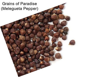 Grains of Paradise (Melegueta Pepper)