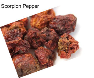 Scorpion Pepper