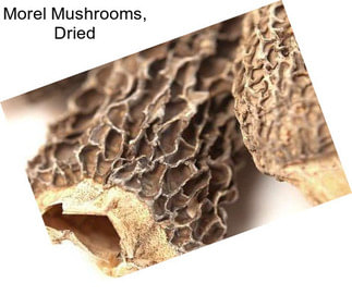 Morel Mushrooms, Dried