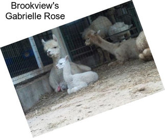 Brookview\'s Gabrielle Rose