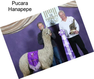 Pucara Hanapepe