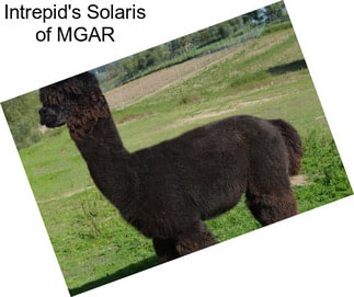 Intrepid\'s Solaris of MGAR