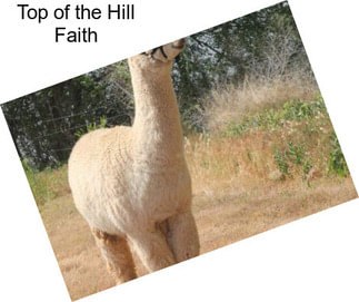Top of the Hill Faith