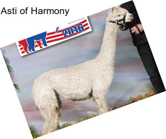 Asti of Harmony