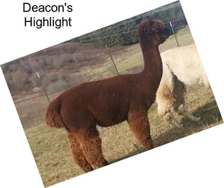 Deacon\'s Highlight