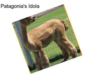 Patagonia\'s Idola