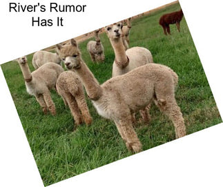 River\'s Rumor Has It