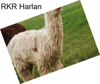 RKR Harlan