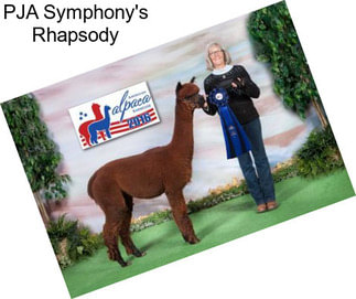 PJA Symphony\'s Rhapsody