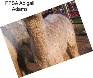 FFSA Abigail Adams