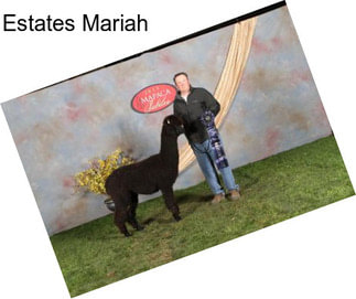 Estates Mariah