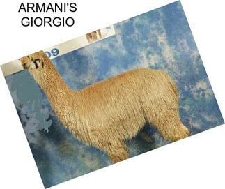 ARMANI\'S GIORGIO