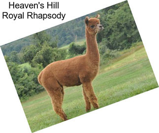 Heaven\'s Hill Royal Rhapsody