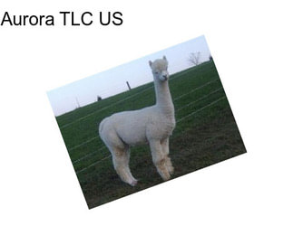 Aurora TLC US