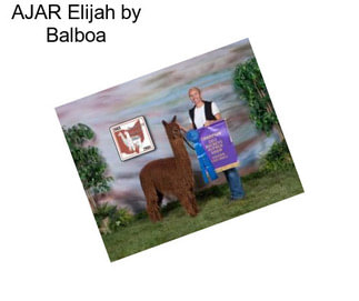 AJAR Elijah by Balboa