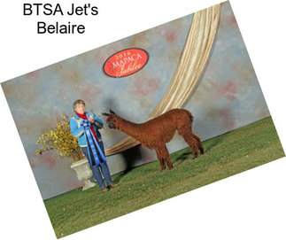 BTSA Jet\'s Belaire