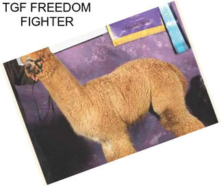 TGF FREEDOM FIGHTER