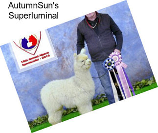 AutumnSun\'s Superluminal