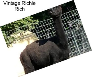 Vintage Richie Rich