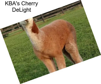 KBA\'s Cherry DeLight