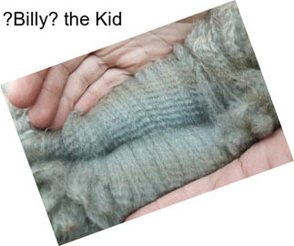 ?Billy? the Kid