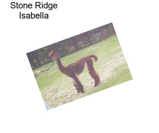 Stone Ridge Isabella
