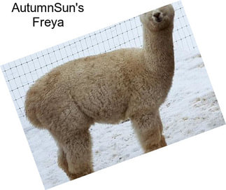 AutumnSun\'s Freya