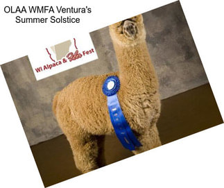 OLAA WMFA Ventura\'s Summer Solstice