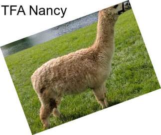 TFA Nancy