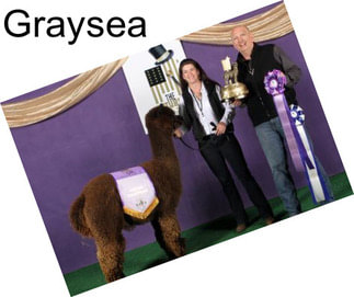 Graysea