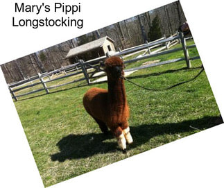 Mary\'s Pippi Longstocking