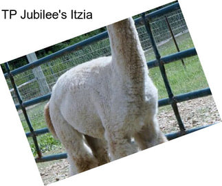 TP Jubilee\'s Itzia