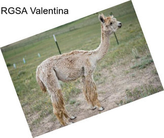 RGSA Valentina