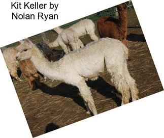 Kit Keller by Nolan Ryan