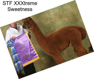 STF XXXtreme Sweetness