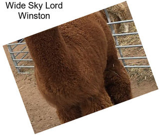 Wide Sky Lord Winston