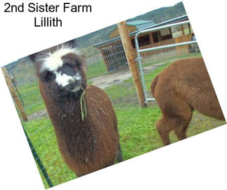 2nd Sister Farm Lillith
