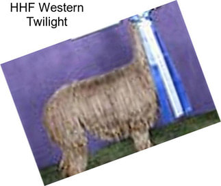 HHF Western Twilight