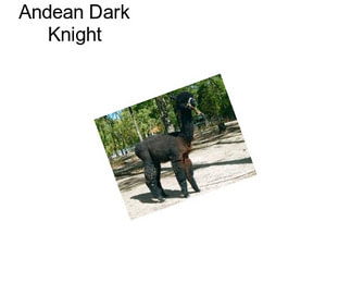 Andean Dark Knight