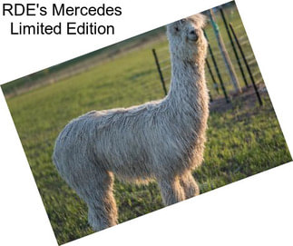 RDE\'s Mercedes Limited Edition
