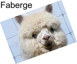 Faberge