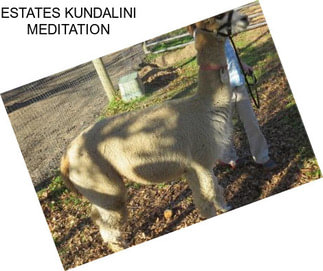 ESTATES KUNDALINI MEDITATION