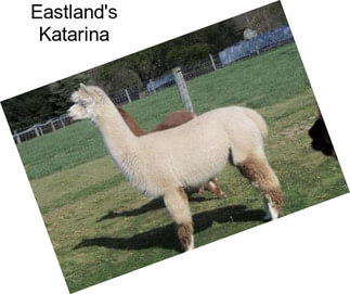 Eastland\'s Katarina