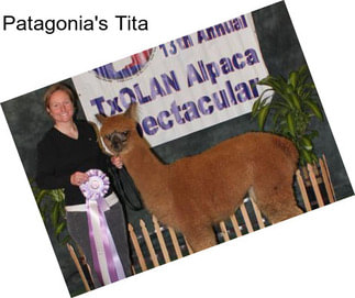 Patagonia\'s Tita