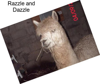 Razzle and Dazzle