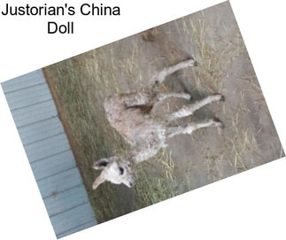 Justorian\'s China Doll
