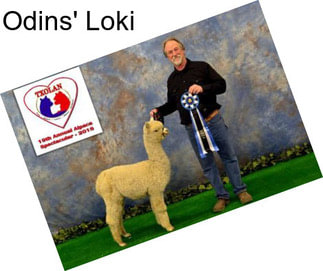 Odins\' Loki