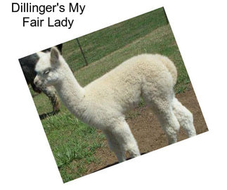 Dillinger\'s My Fair Lady